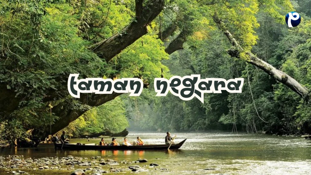 Taman Negara Kuala Koh, Kelantan