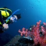 3 Days 2 Nights of Unforgettable Ocean Escapades