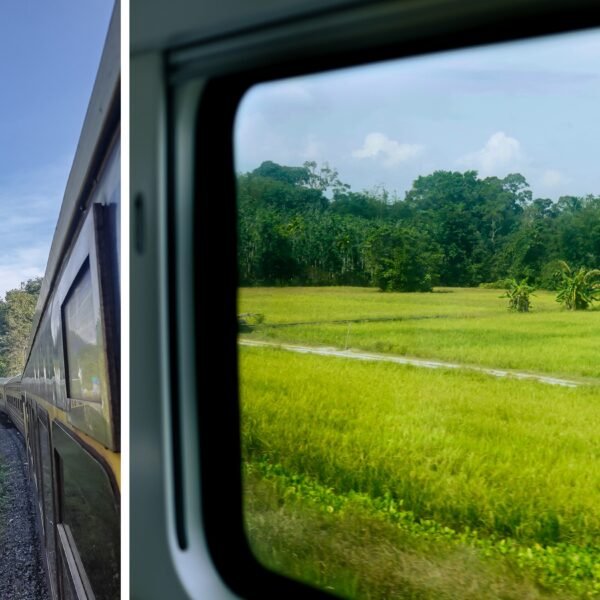 4D3N Exploring Dabong via Rail