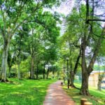 Ang Mo Kio heartland hill parks