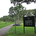 Bedok Town Park A Serene Greenway with Park Connector Access