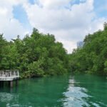 Berlayer Creek Nature Park Singapore’s