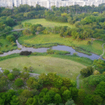 Bishan-Ang Mo Kio Park Singapore’s