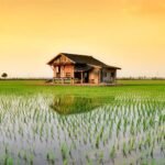 Budget-Friendly Weekend Escapes from KL for Young Families