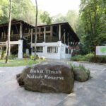 Bukit Timah Nature Reserve