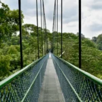 Central Catchment Nature Reserve: Singapore’s Largest Green Lung