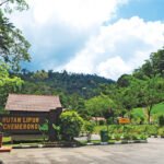 Chemerong Forest Reserve, Terengganu: Ultimate Jungle Trekking Adventure on the CBL Trail