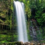Crocker Range National Park