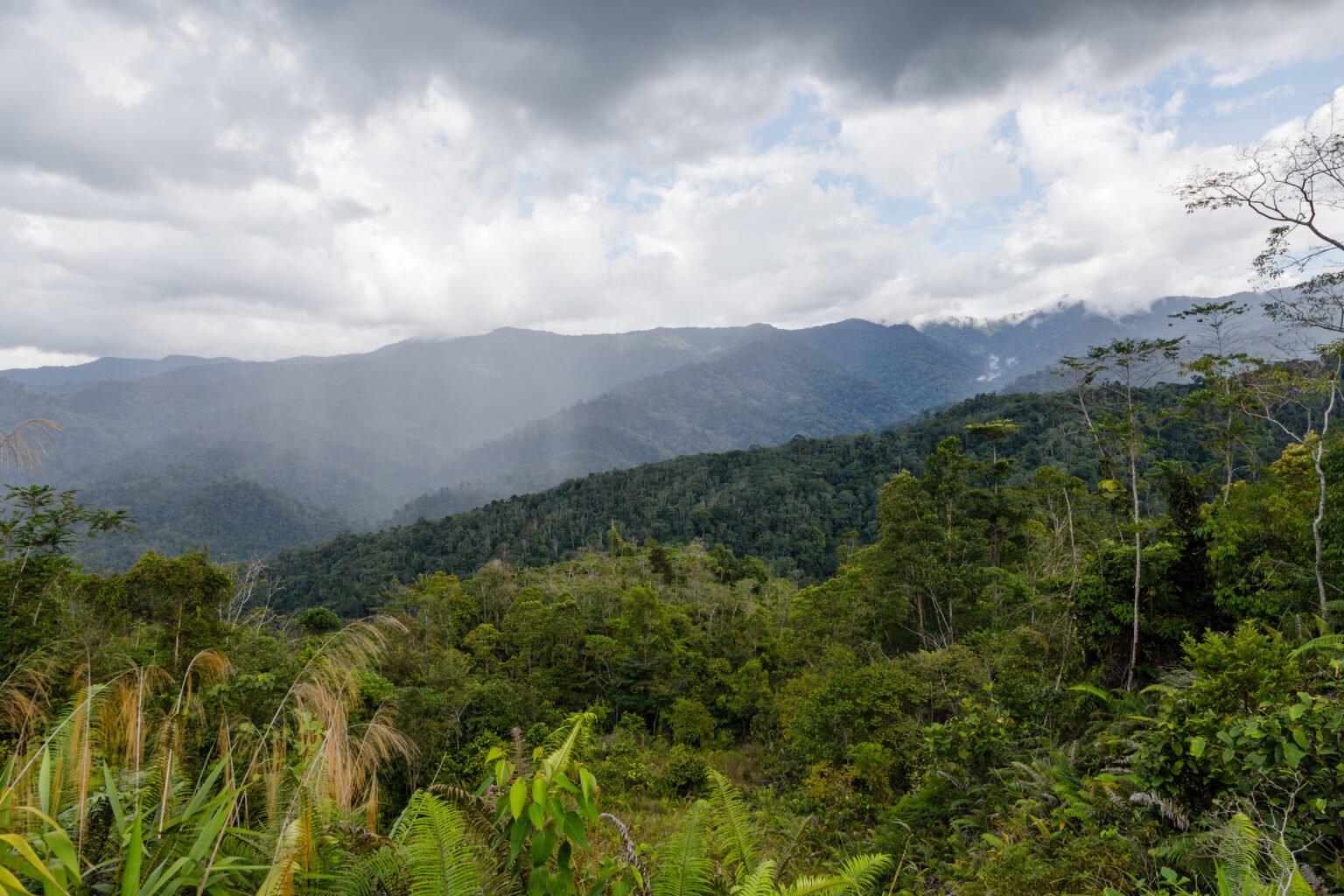 Crocker Range National Park, Sabah | Visit Malaysia 2026