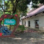Discover Dairy Farm Nature Park & Wallace Education Centre Singapore’s