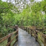 Discover Pasir Ris Nature Area Singapore