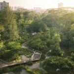 Explore Rifle Range Nature Park Singapore’s