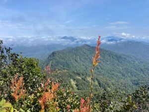 Exploring Negeri Sembilan: Hiking Trails, Attractions, Stays & Top Local Eats