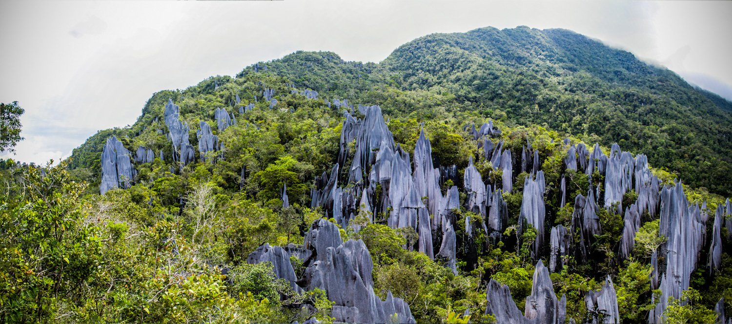 Exploring Sarawak: A Treasure Trove of Natural Wonders | Visit Malaysia ...