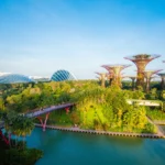 Gardens by the Bay – Singapore’s Futuristic Nature Wonderland