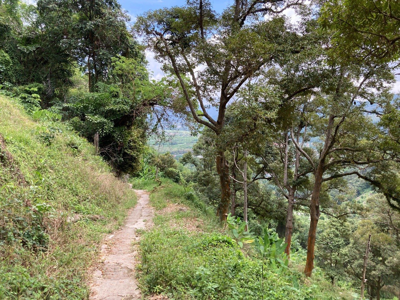 How I Burned My Calories For 4 Days In Penang