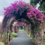 Japanese Cemetery Park Singapore