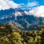 Kinabalu Park Sabah