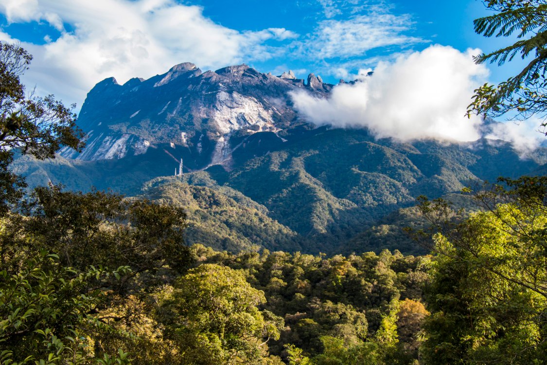 Kinabalu Park Sabah