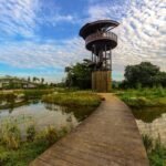 Kranji Marshes Singapore