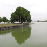 Kranji Reservoir Park: Scenic Fishing, Nature Views & History in One Place