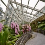 National Orchid Garden Singapore