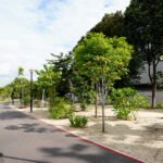 Pasir Panjang Park A Coastal Green Gem in the Greater Southern Waterfront