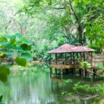 3Days Perlis Itinerary