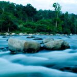 Royal Belum State Park: Jolly in the Jungle – 7 Days 6 Nights Itinerary