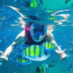 Snorkeling at Pulau Payar Marine Park