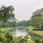 Springleaf Nature Park Singapore