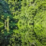Tasik Cermin Ipoh: Discover Perak’s Magical Mirror Lake Hidden in Limestone Hills