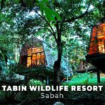 Top 7 Treehouse and Nature Stays in Malaysia for Digital Detox