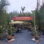 Top Eateries in Perlis for Foodies at Heart