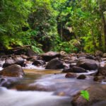 Ulu Bendul Recreational Forest, Negeri Sembilan