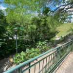 Zhenghua Nature Park A Green Gateway to the Central Catchment