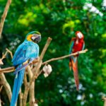 Zoo Melaka: Wildlife Wonders and Dinosaur Adventures in Ayer Keroh