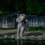 Zoo Taiping & Night Safari, Perak