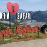 Air Swing @ Cameron Valley Tea 3