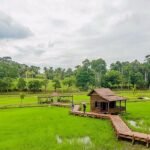 Top 10 Picnic Spots in Selangor for Nature Lovers