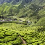 Top 10 Scenic Drives in Malaysia