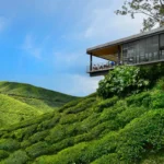 Top 10 Things to Do in Cameron Highlands