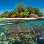 Top 10 Things to Do in Sabah