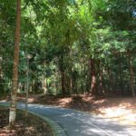 Yishun Park Singapore