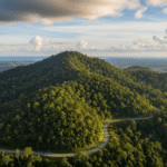 Bukit Payong
