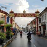 Durian Tunggal 