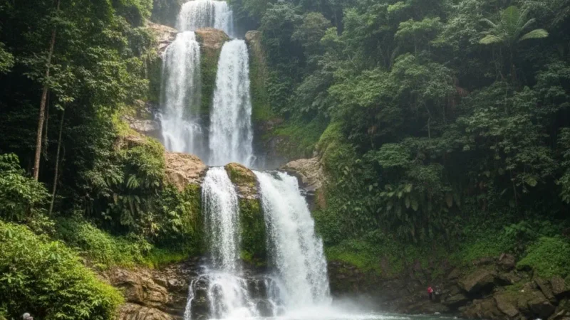 Jelawang (Stong) Waterfall