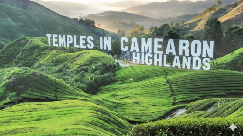 Temples in Cameron Highlands