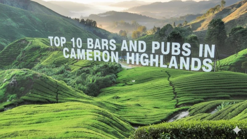 Top 10 Bars and Pubs in Cameron Highlands