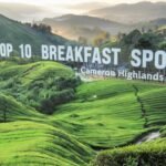 Top 10 Breakfast Spots in Cameron Highlands